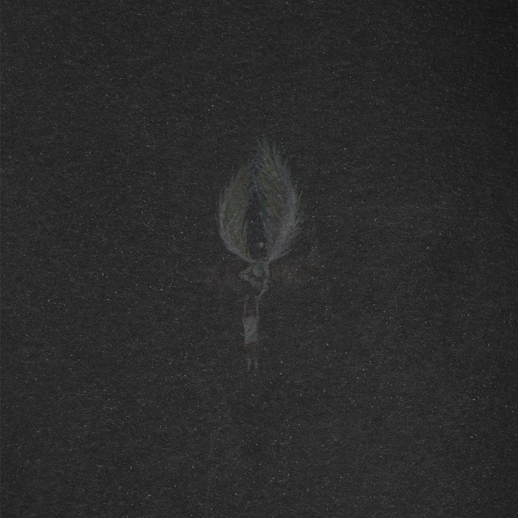 FIVEFOLD tweet media