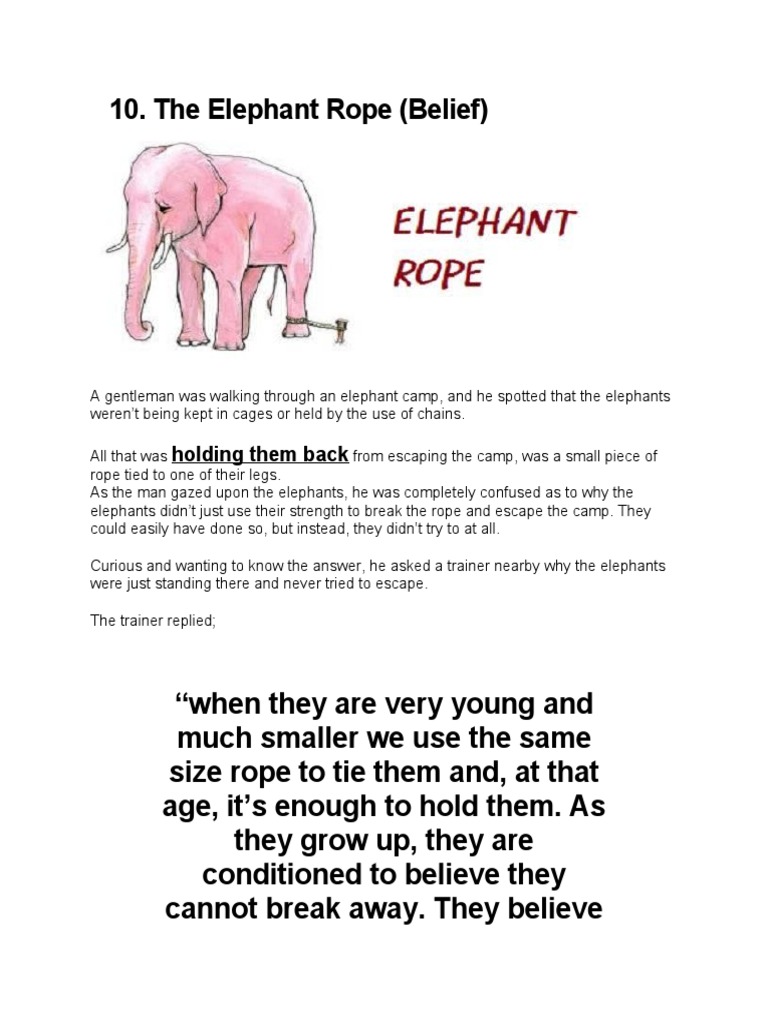 DaBaDee99's tweet image. learning about last night, the Elephant 🐘 Rope Mindset story, on the idea of feeling &quot;stuck&quot; or being conditioned to believe we are...what great wisdom on victim mentality👏 Wisdom through humor is 👌. Keep the Blockbuster tradition alive=check.him.out.📼☺️ #philosophicalhumor