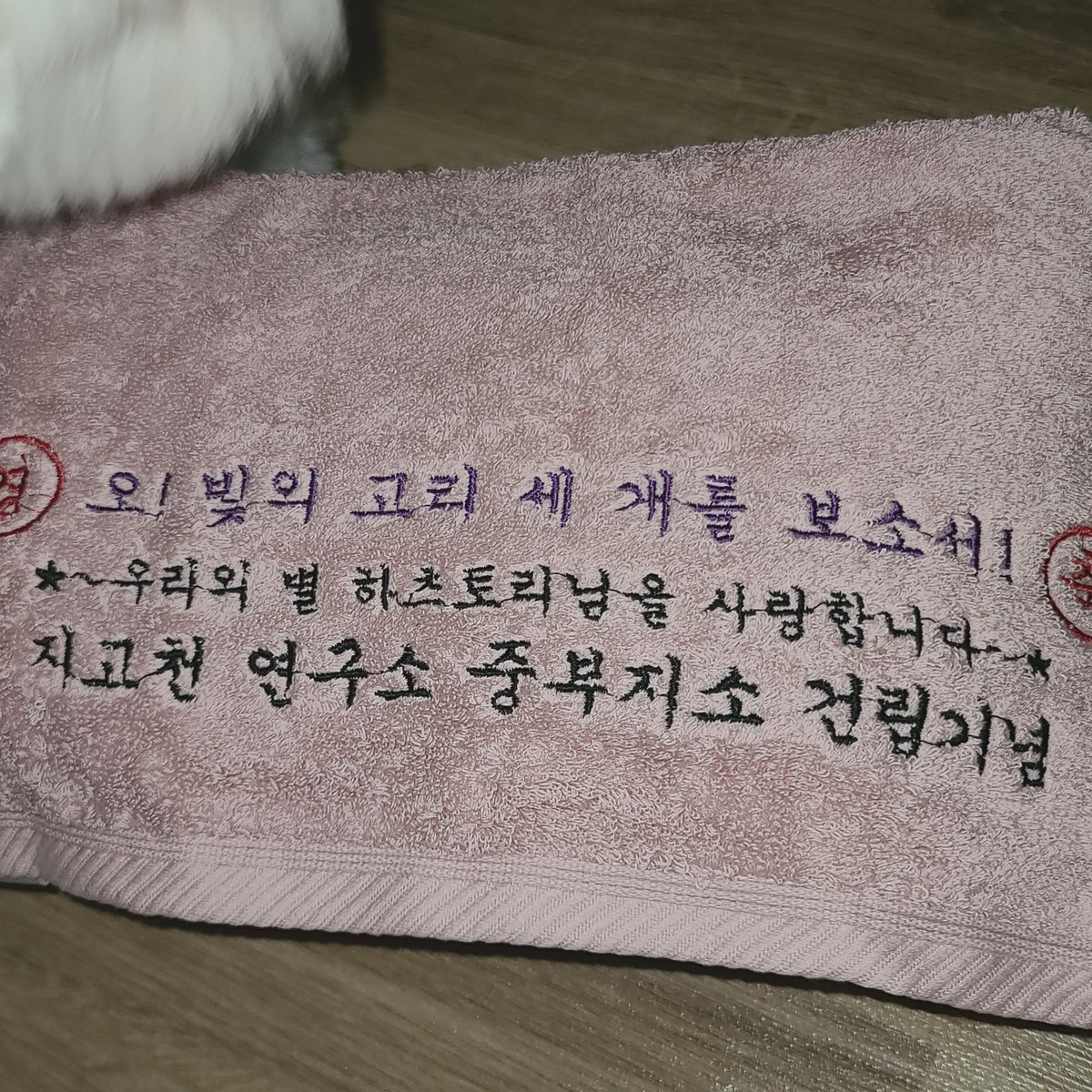 그러고보니 지고연 수건이 있었음