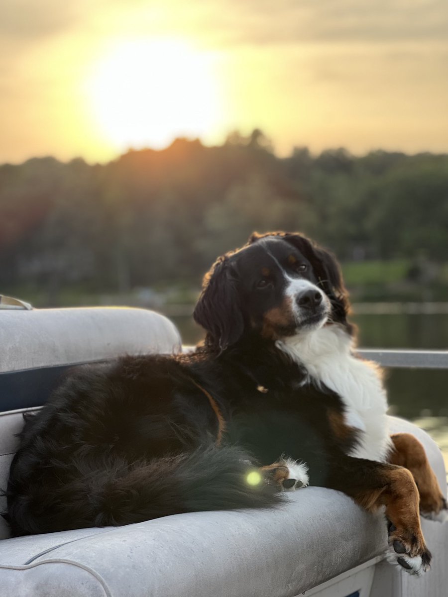 Always a great day fishing with a great dog and beautiful sunset. #BassFishing#LakeLiving