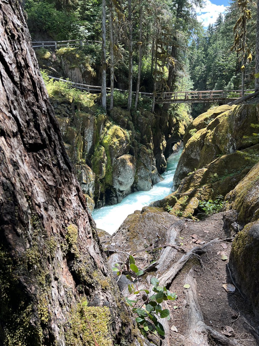 CaitAWilson's tweet photo. Mount Rainier National Forest https://t.co/03IqugBD6t