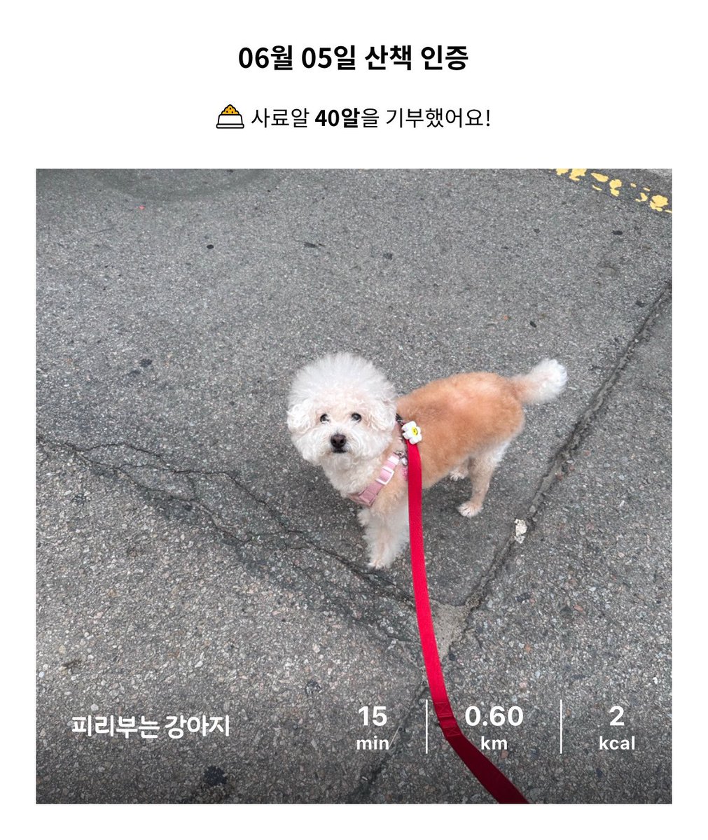 쥬니꾸꾸 𝐆𝐎𝐋𝐃𝐄𝐍 tweet media