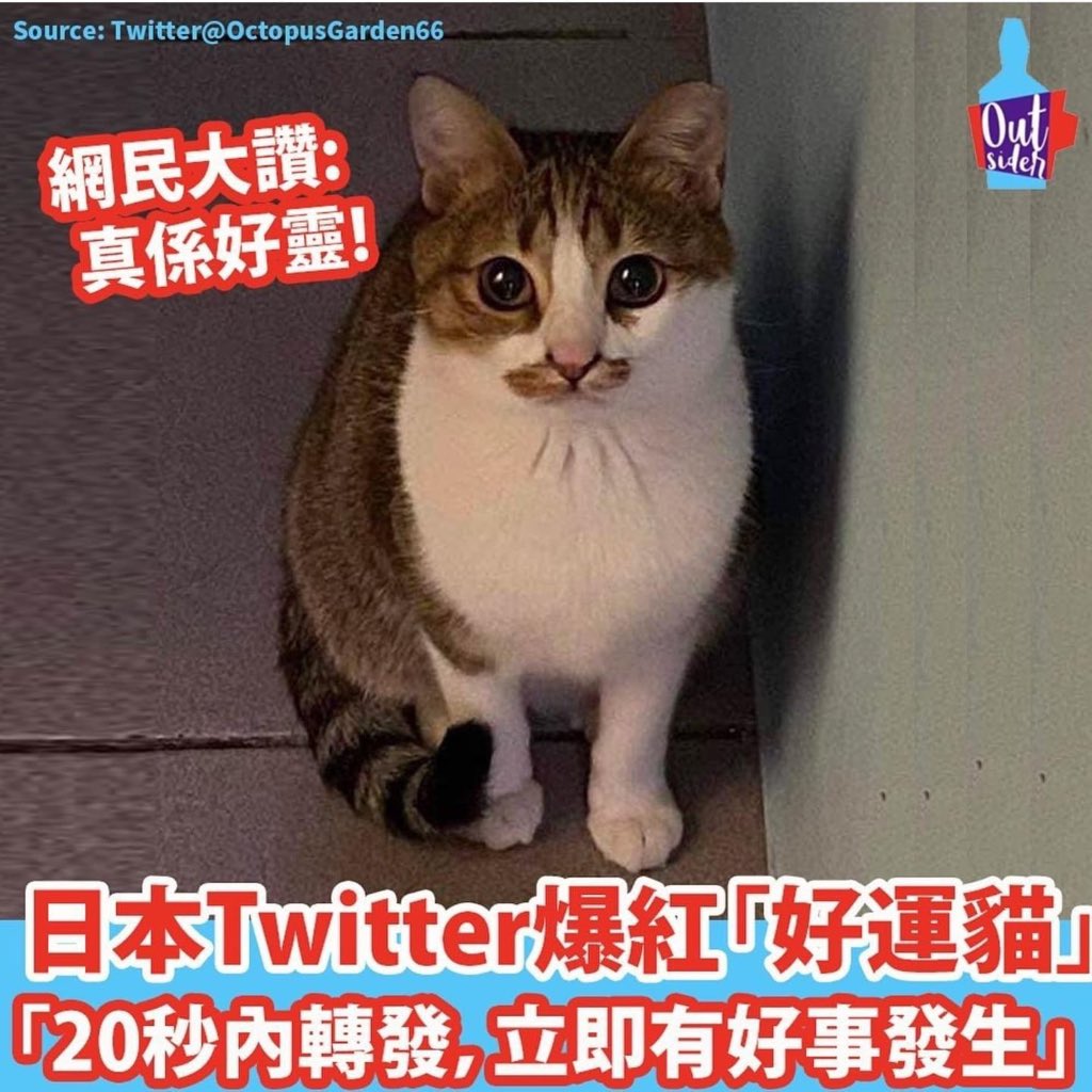 Greatz (@greatz2012) on Twitter photo 