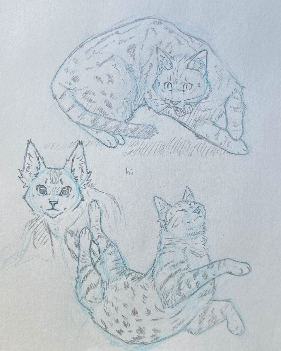 Teru @🦋 tweet media