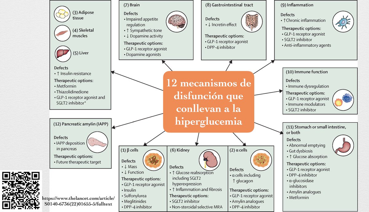 Pasamos del octeto ominoso a tener actualmente un Dodecágono 12 mecanismos que podrían condicionar hiperglucemia solo en el pancreas hay 3. De Fronzo’s ominous octet became a dodecagon 12 mechanisms for hyperglycemia in Diabetes.<a href="/TheLancet/">The Lancet</a>