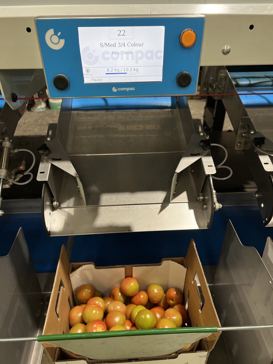 Sorting tomatoes for colour, size and quality. Technology delivers! Vomo Farms. #HortCon23 ⁦<a href="/SyngentaANZ/">Syngenta ANZ</a>⁩ ⁦<a href="/HortCon_/">Hort Connections</a>⁩
