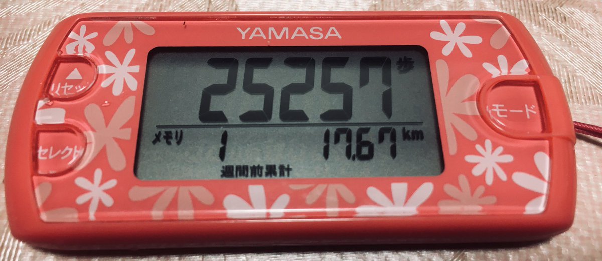 #ランプラ
#SIP765

5/29〜6/4

       17.67km

集計よろしくお願いします〜。😃