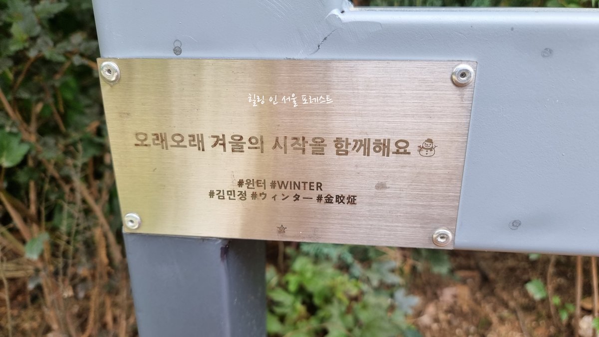 힐링 인 서울 포레스트 (Healing in Seoul Forest) tweet media