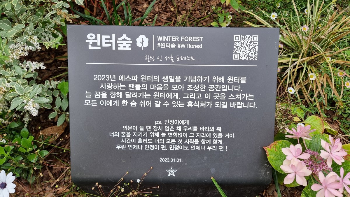 힐링 인 서울 포레스트 (Healing in Seoul Forest) tweet media
