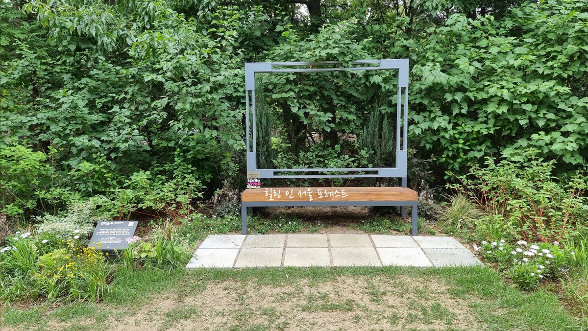 힐링 인 서울 포레스트 (Healing in Seoul Forest) tweet media