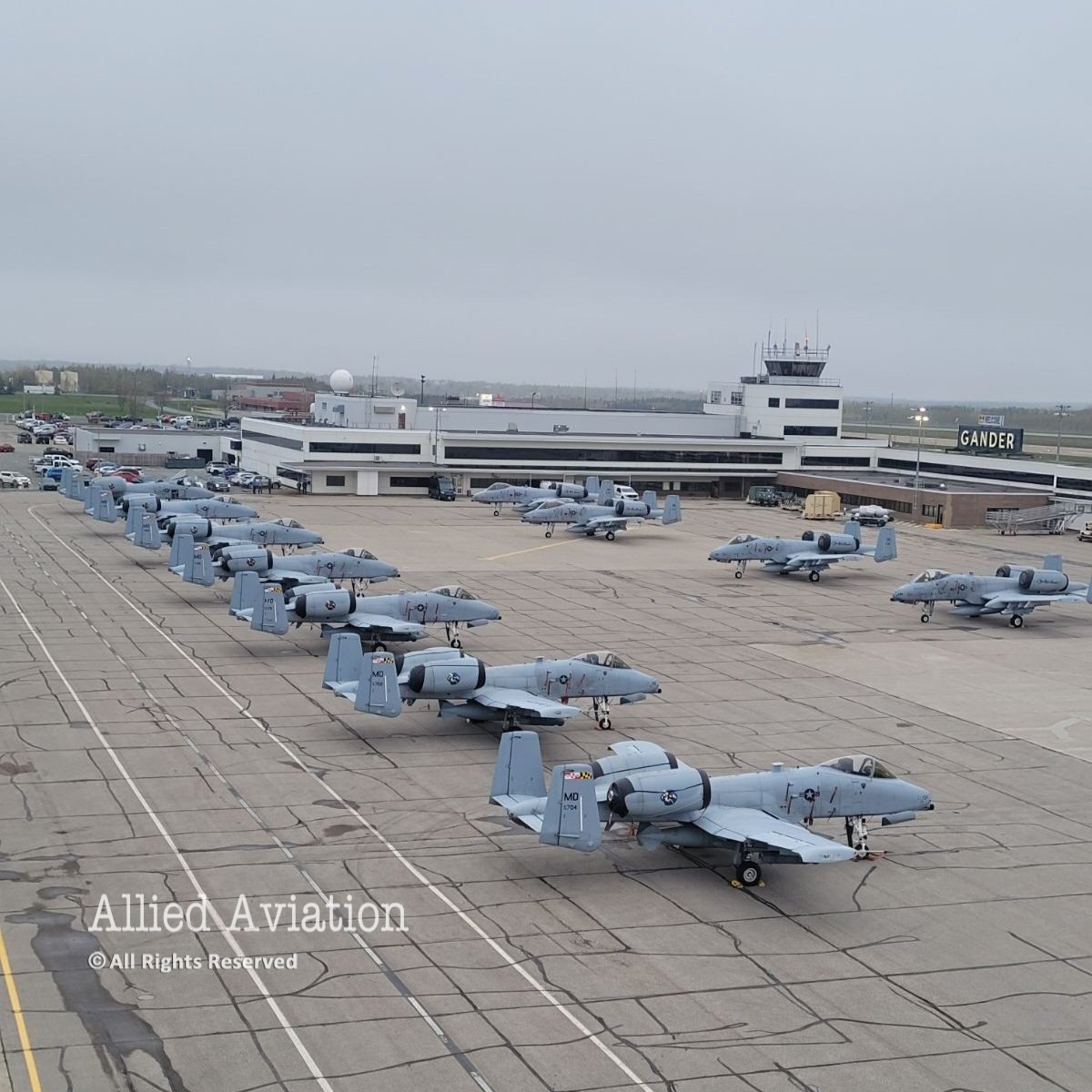 Deltafox007's tweet photo. The A-10 "Warthog" #GanderAirport #AlliedAviation #warthog https://t.co/dEem4D5VAJ