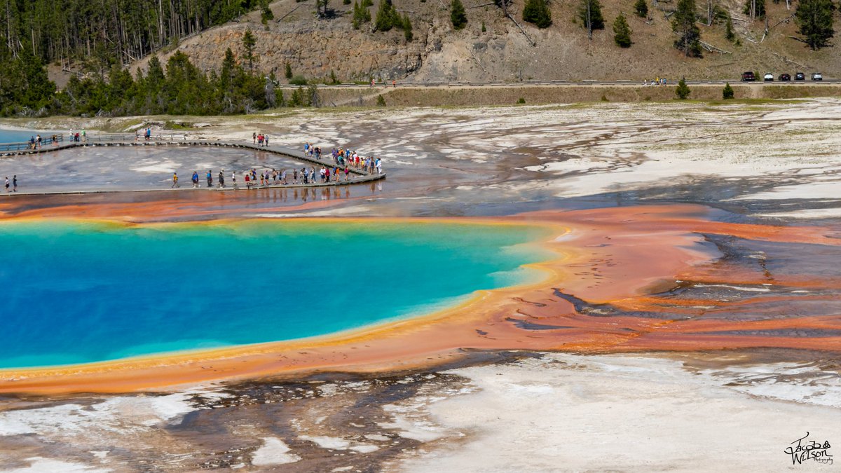 jjwphotography_'s tweet photo. The Grand Prismatic Spring!
.
#grandprismaticspring #hotsprings #prismaticspring #colorful #Yellowstone #yellowstonenationalpark #nationalpark #nature #landscape #traveldestination #travelphotography #travel #Canon #canonphotography #landscapephotography #nationalparkgeek https://t.co/K0wd0nk2Ly