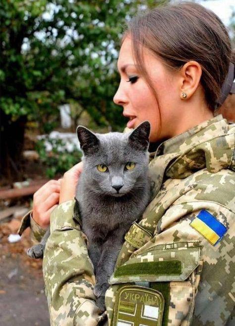 #NationalHugYourCatDay 
#Ukraine shows us how to give our furry friends love even amidst a brutal war. #SlavaUkraini 🇺🇦💙💛🐈
@strategywoman #warandpeace #CatsOfTwitter