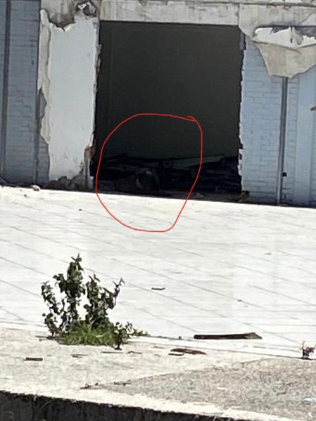 Elisafigue3's tweet photo. Urgente Perrito amarrado 24/7 en carretera Mexico Toluca 3054 ya tenemos denuncia en paot pero no hemos tenido apoyo aún 
Folio 79506 @SSC_CDMX @marianaboy1  @LetyVarela  @FundacionToby @AmorSinRaza  el terreno era antes una Chrysler ayuda por favor 😥  https://t.co/xGW8E0lnpU https://t.co/z9iTLrU0CL