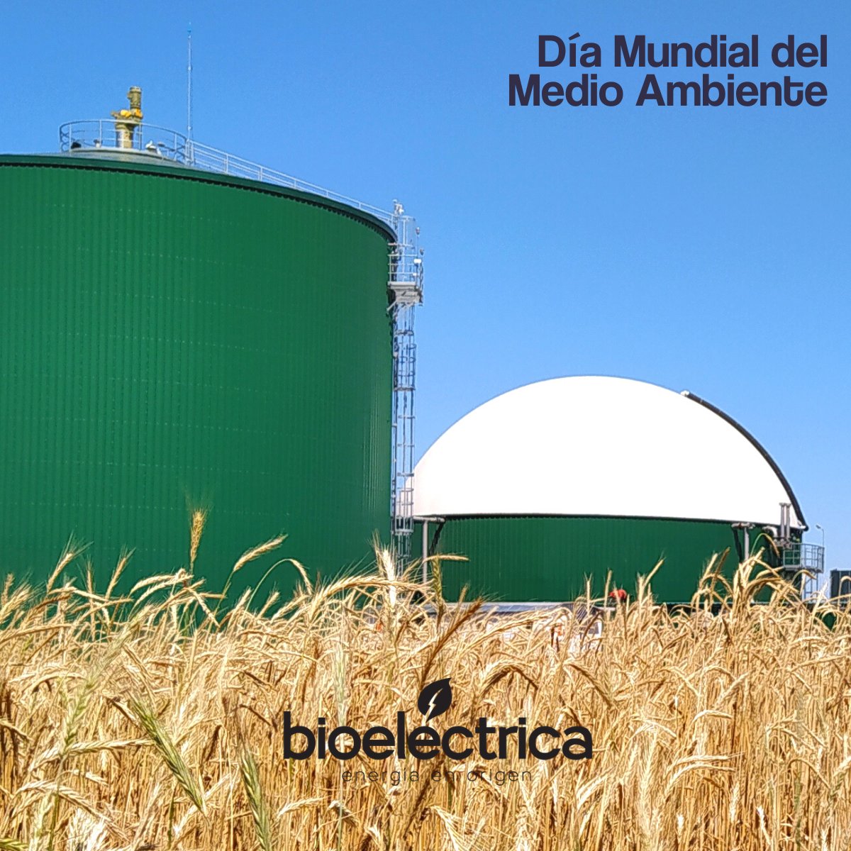 5 de junio | Día mundial del medio ambiente🌎
Desde #Bioeléctrica promovemos la descarbonización de la matriz energética a través del desarrollo de plantas generadoras de energía eléctrica renovable.
Un solo planeta. El desafío de la carbono neutralidad nos afecta a todos.