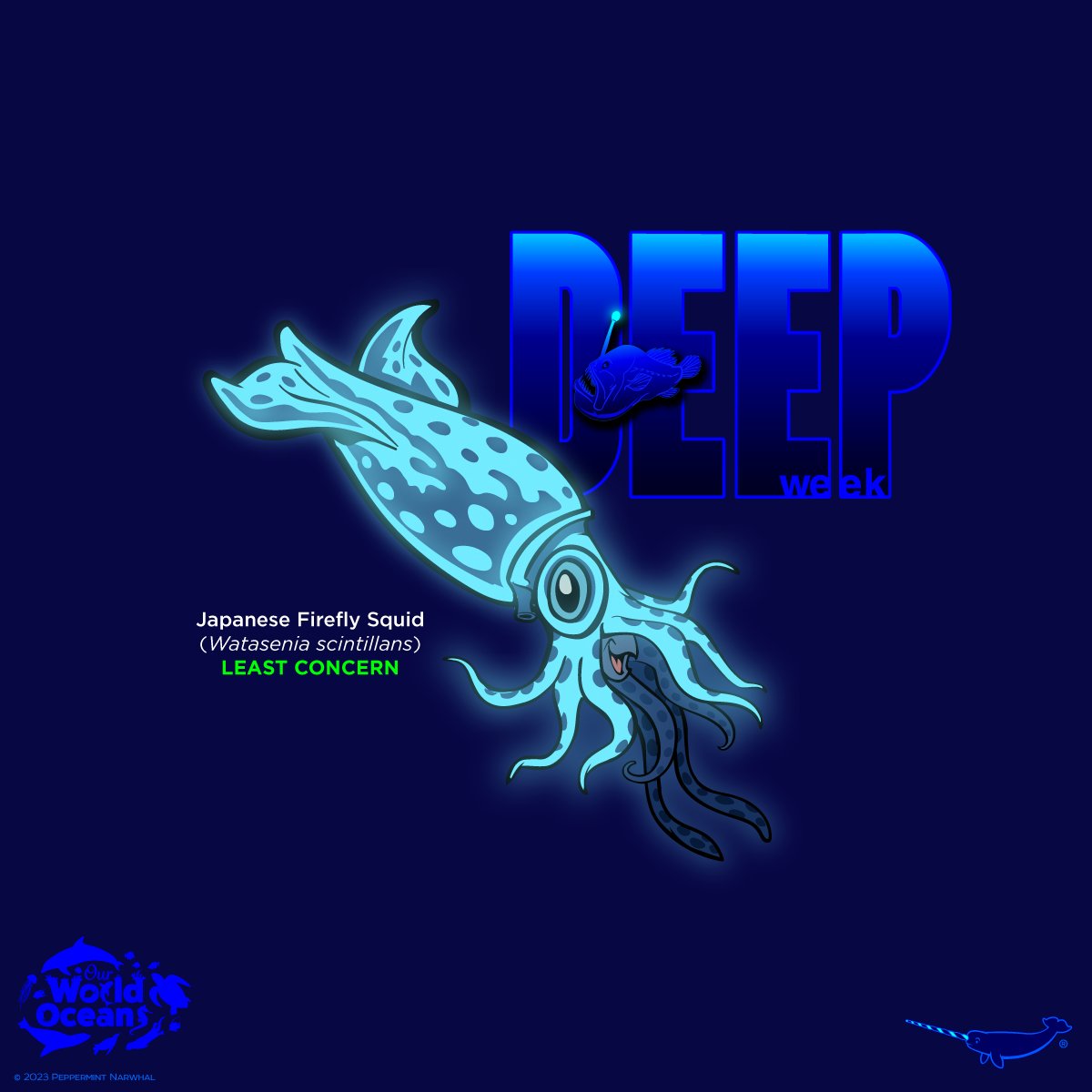 #DeepWeek #JapaneseFireflySquid
#OurWorldOceans

Endangered 5 #EnamelPins #Kickstarter tinyurl.com/2n8pe326 
Shop #PeppermintNarwhal peppermintnarwhal.com

#OceanMonth #Ocean #Squid