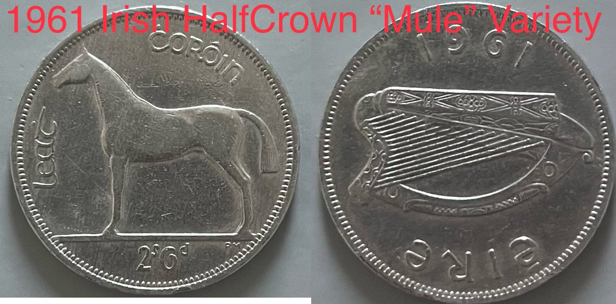 I loved the moments when you got a new coin and there always just always the slim possibility that you could make that discovery. I was the Indiana Jones Of Coins as a kid 👧 #bulliononline #coins #coindealers #mule #halfcrown #irishcoins #ireland #collectcoins