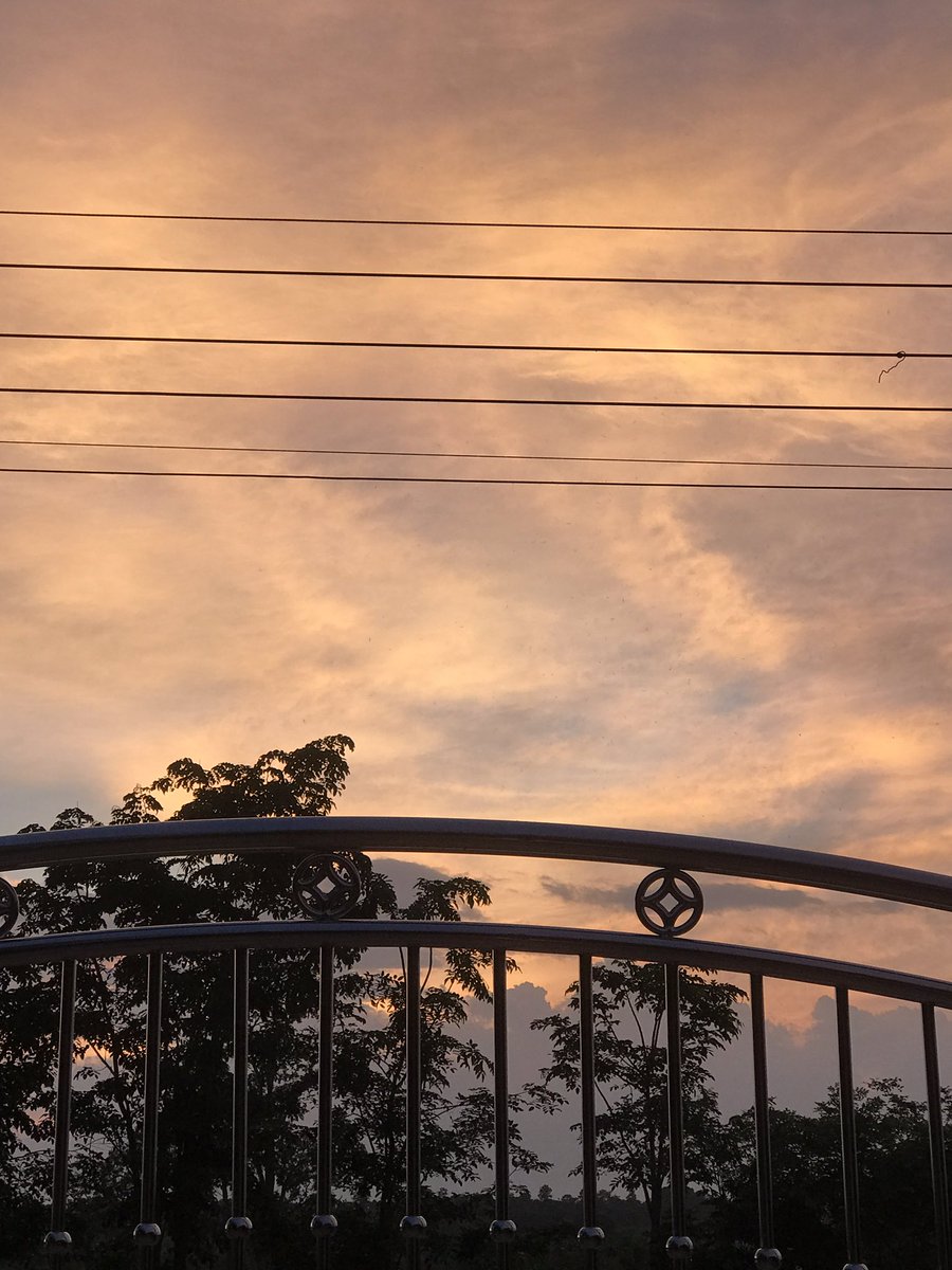 mx4lig's tweet image. 