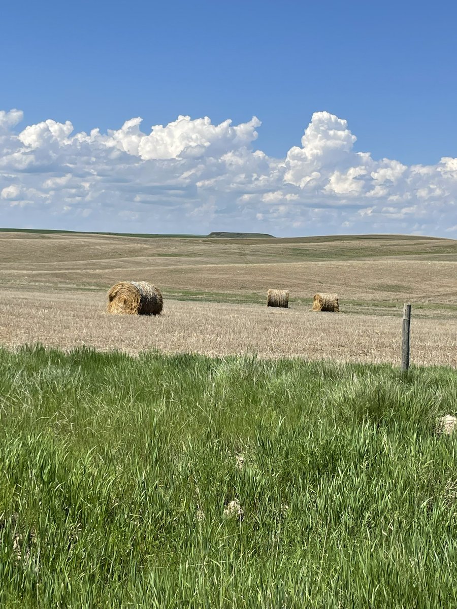 Discovering the beauty of my new home province <a href="/Saskatchewan/">Tourism Saskatchewan</a> #Saskatchewan #summer