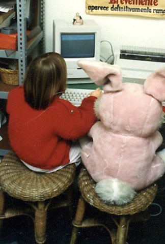 Sofia Levin 🇵🇹 tweet media