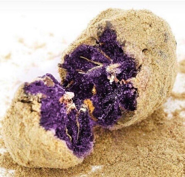 _StonersRUs_'s tweet photo. Purple MoonRock 🍇🌙🔥

#StonerFam #Mmemberville #WeedLovers #CannabisCommunity https://t.co/rluJVSsfPT