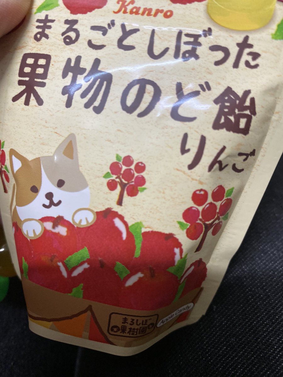 風邪ひいて声が出ない私に、いつも買い物に来てくれる若いお姉さんが、たった今買った飴を、「これどうぞ！」って渡してくれた。
びっくりしている私に、「私も風邪ひいたときに声掛けてもらったんで…
お大事にしてください。」と…
嬉しくて涙が出た。