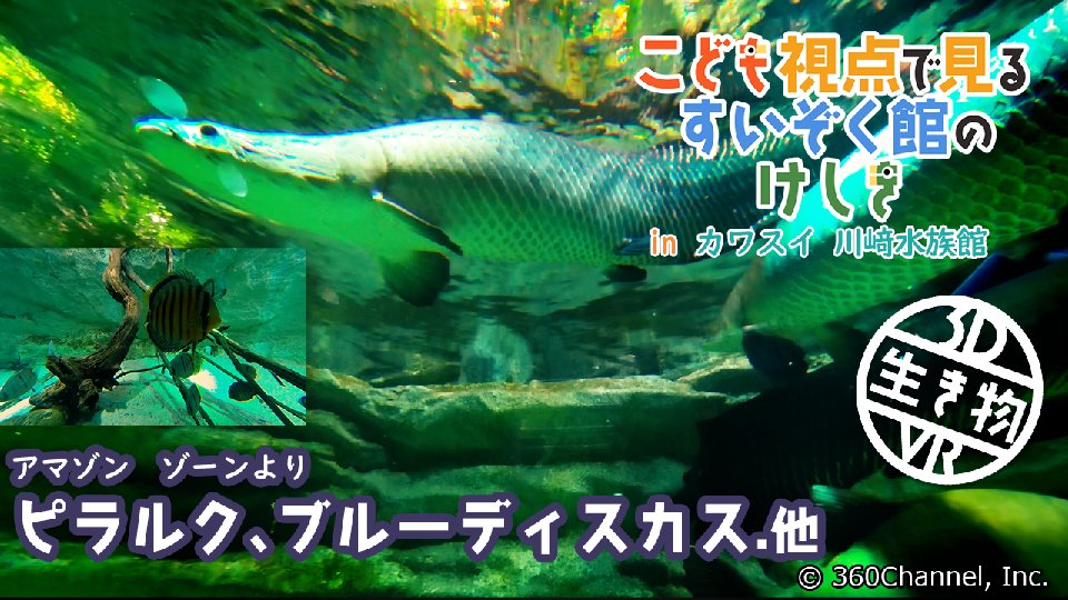 ネットカフェVR VIRTUAL GATE (公式) tweet media
