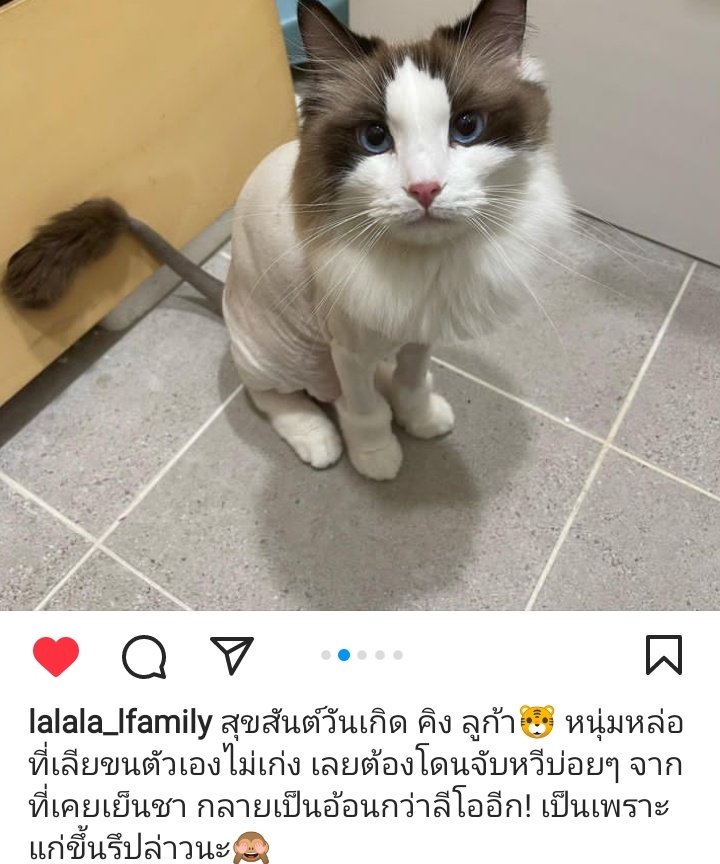 doxxj2's tweet image. ลิซ่าใช้ภาษาแบบนิยายมากอ่ะจากที่เคยเย็นชา1555555555555555