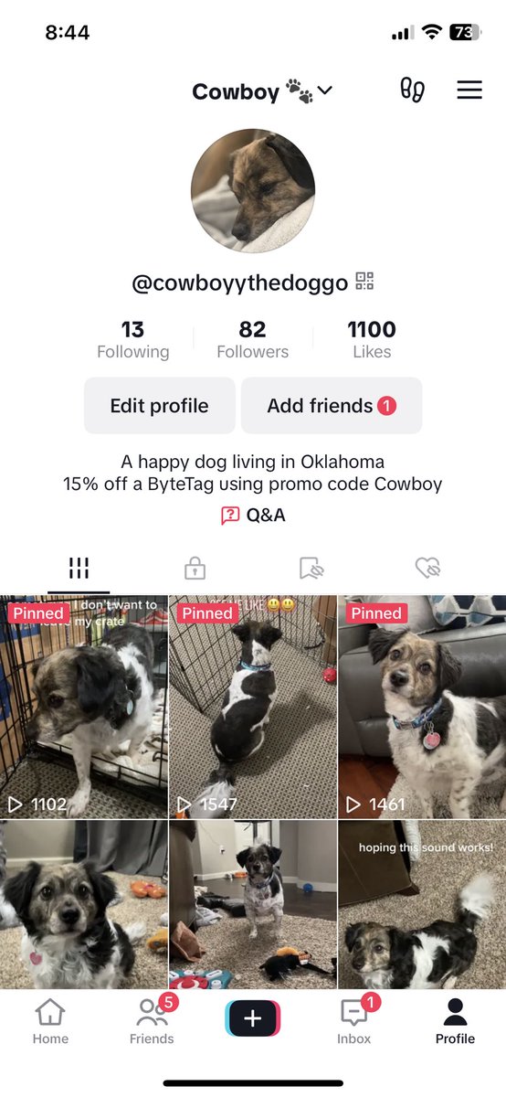 Maddie, CPA (&Cowboy & Cassie & Cooper) tweet media