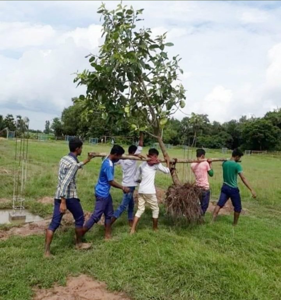क्योंकि एक-एक पेड़ अनमोल है..!
💚🌳
#savetrees #savelife #MissionLiFE 
#WorldEnvironmentDay2023