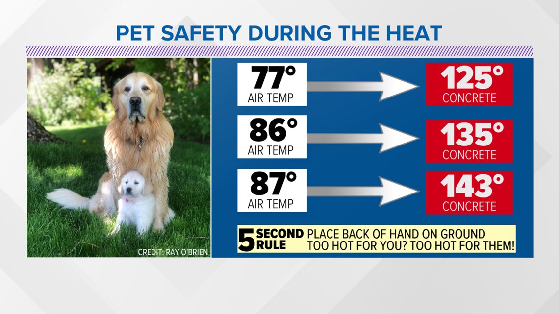 justice4stanley's tweet photo. Because we wear shoes, we likely do not notice how hot asphalt or even concrete can get in the heat. During summer months, protect your dog’s paws by walking on dirt or grass  and sticking to early morning or late evening walks. ☀️ https://t.co/FDuYXLWyc6