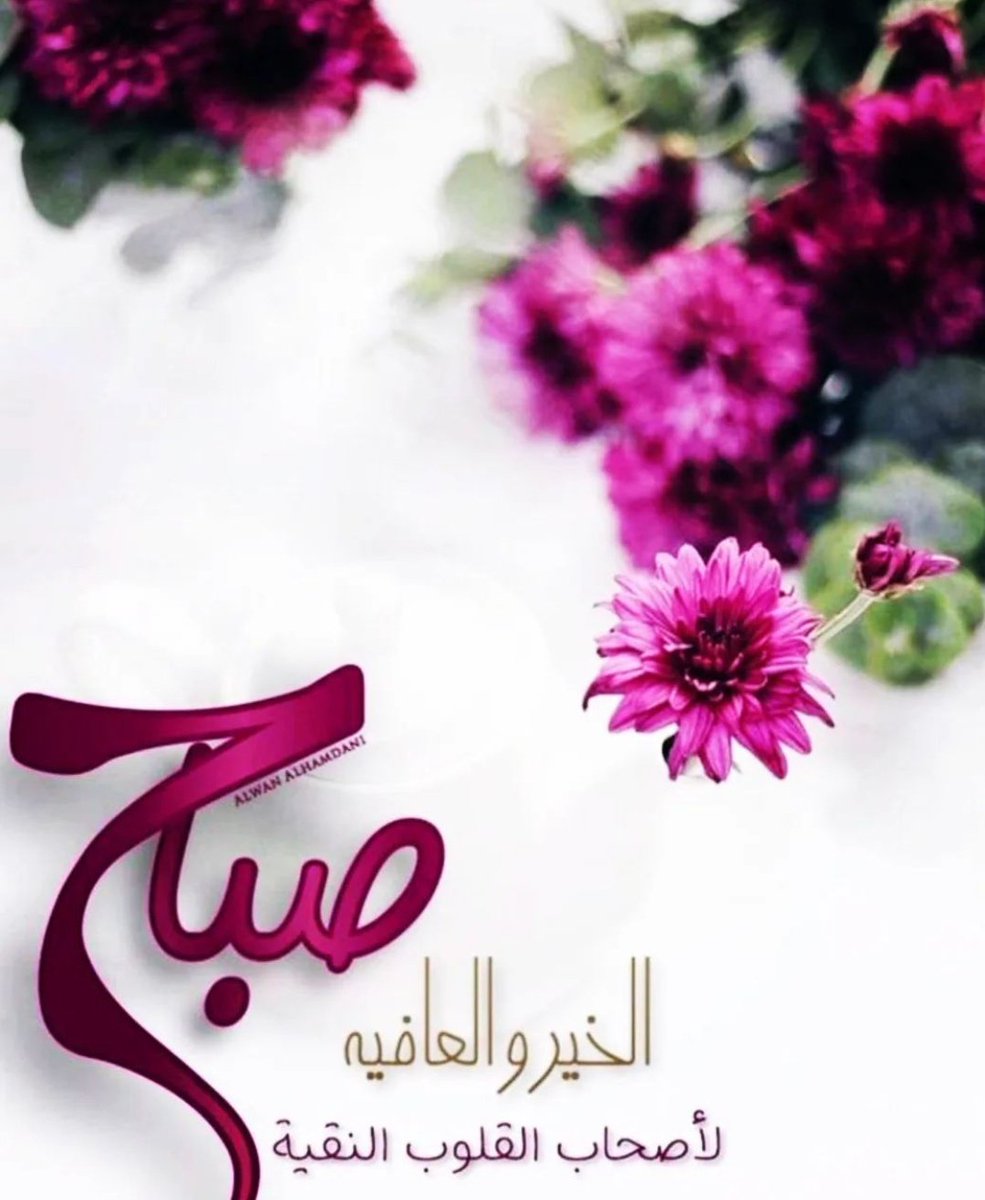 nooor2228's tweet image. ۞وَبَشِّرِ الصَّابِرِينَ۞
 كم داوت هذه الآية من نزفٍ غائر ، وجرحٍ ثائر ..

هنيئًا (لأهل البلاء) فتلك بشارة لكل صابر بخيرٍ عظيمٍ وافر .

"اللهم اجعلنا من الصابرين المحتسبين"

.
#الحمدلله_دائماً_وابداً
#صباح_الخير_والسعاده_للجميع