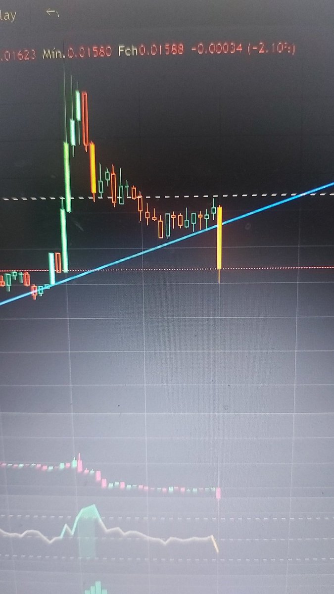 cripto35's tweet image. 😇