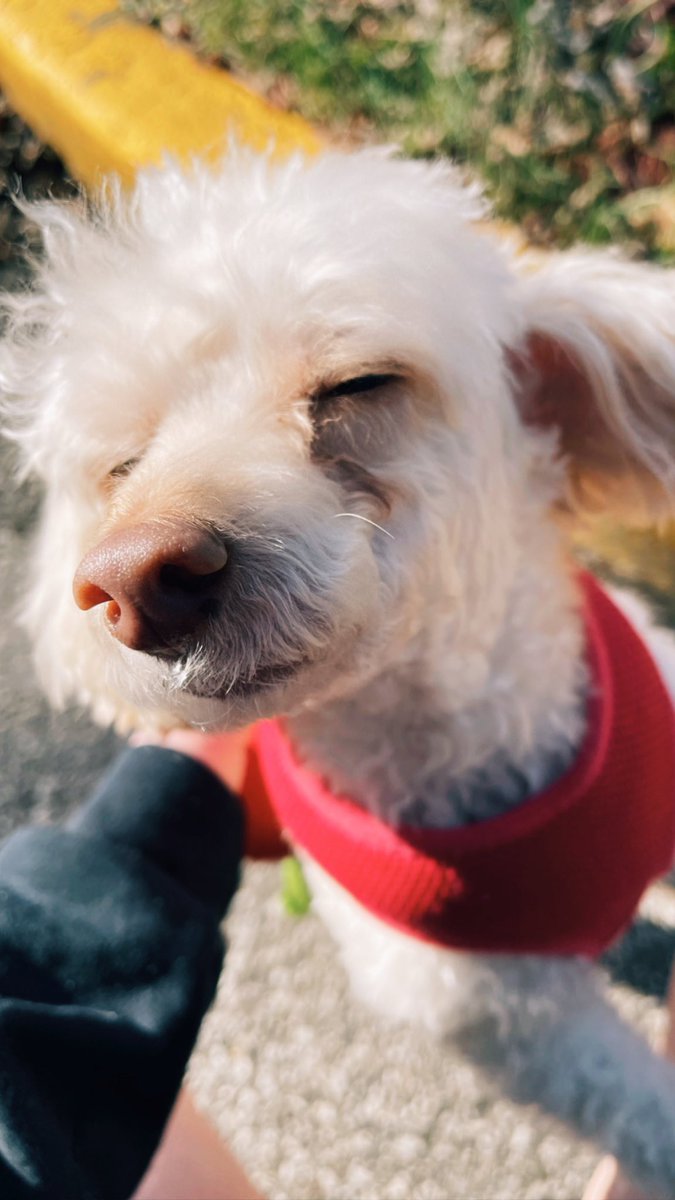 kaelyn pennington tweet media