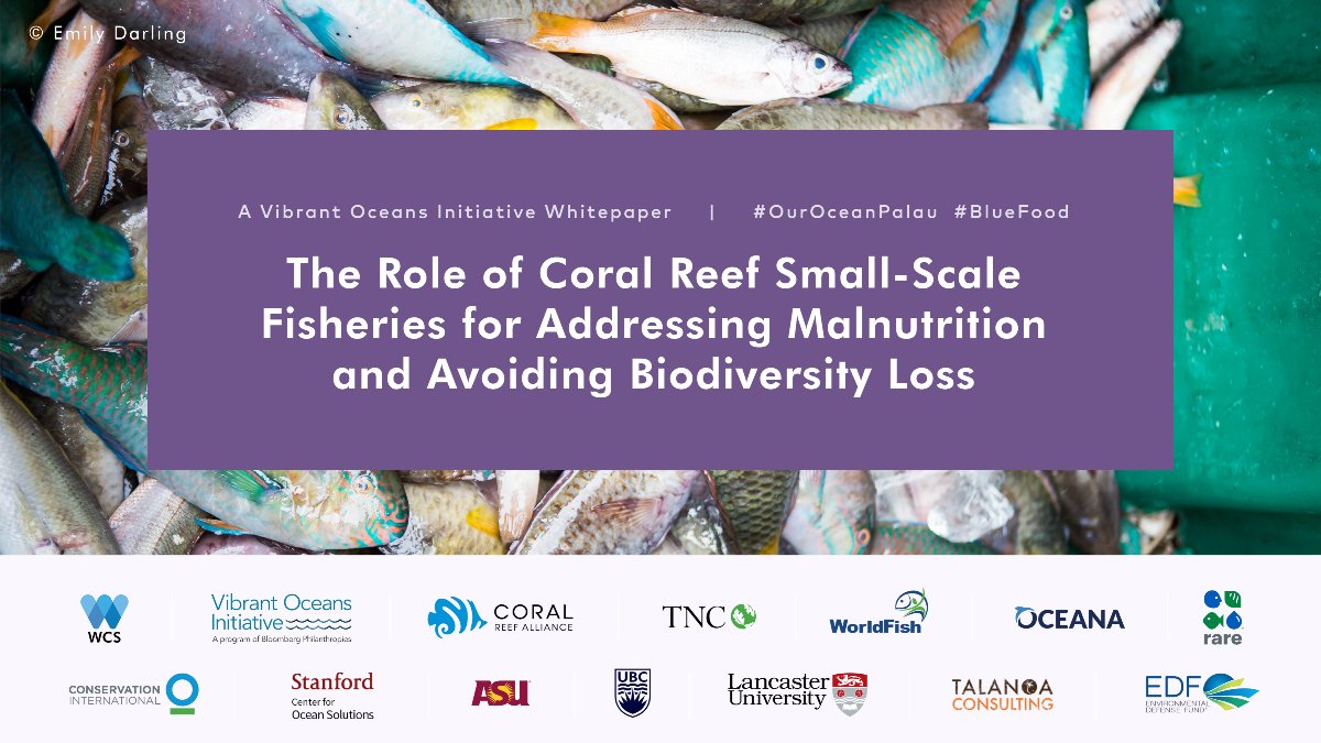 💡Integrated management of #coralreef foods, as a diverse set of #aquaticfoods, can contribute to the improvement of human #nutrition, #livelihoods, and #biodiversity. 
 
This #OceansDay, learn about nutrition-sensitive coral reef #fisheries governance. 👉tinyurl.com/WFPubs5147