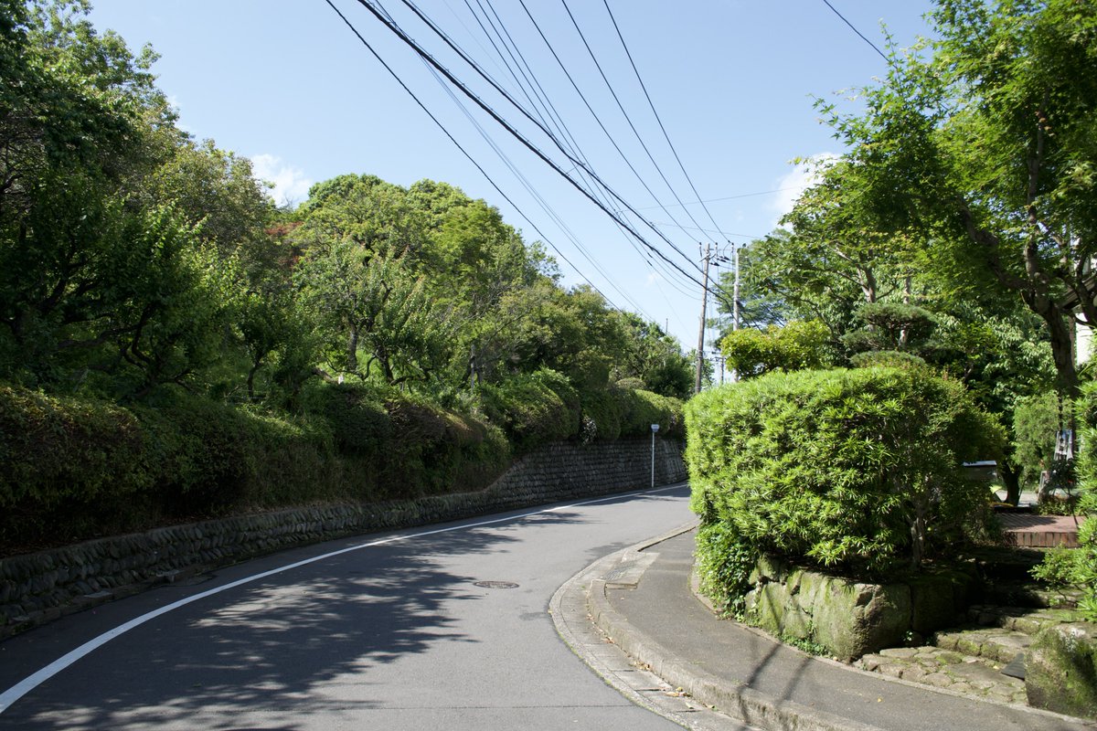 Today's promenade😁

#japan #tokyo #walking #walk #park #japantravel #travel #東京　#japantrip #landscape #photo #trip #view  #nature
#photographer #beauty