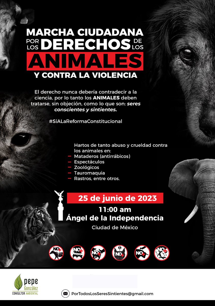 jpepever's tweet photo. La GRAN MARCHA CIUDADANA por los Derechos de los Animales es el 
25 DE JUNIO DE 2023.

Seamos la voz de quien no la tiene 🐇🐶😾 https://t.co/Ss9E76nJdg