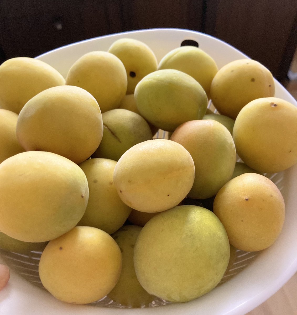 おはようございます⛅️今年の梅仕事をします https://t.co/A7HVgT5t6w