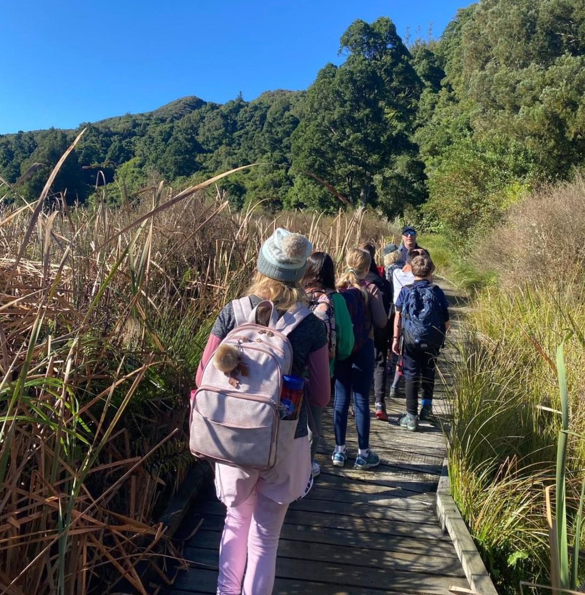 At GS, the #environment is at the center of how we educate learners for life. For #WorldEnvironmentDay we encourage learners everywhere to understand and explore their local #ecosystems. Here, student hikers visit NZ's Rotokare Scenic Reserve. Learn more: greenschool.nz/programme/