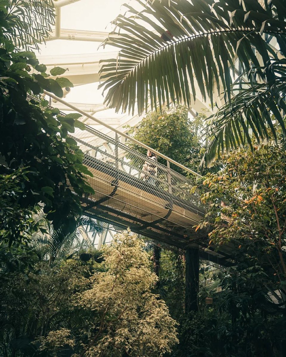 worldtravelmag2's tweet photo. Seoul's scenery! Check out Seoul Botanic Park with its 8,000 species of plants from 12 different cities around the world.
📷 @joong.h_lee
#Travel #LuxuryTravel #seoul #BotanicPark
Reposted from @visitseoul_official https://t.co/6M1OjAn7nW