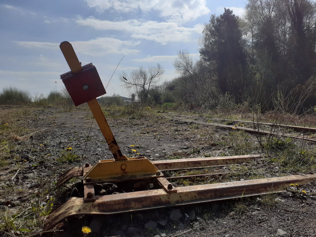 murphy_policy's tweet photo. The narrow gauge rail on our bogs could be used for 'rail biking' as is done in France. Let's use this infrastructure that's in place. It is fit for more than destruction. Pic from Normandy Tourism.
@tourism_laois
@LaoisCouncil
@LaoisToday
@BordnaMona
#irishbogs #peat https://t.co/rFph01RpVL
