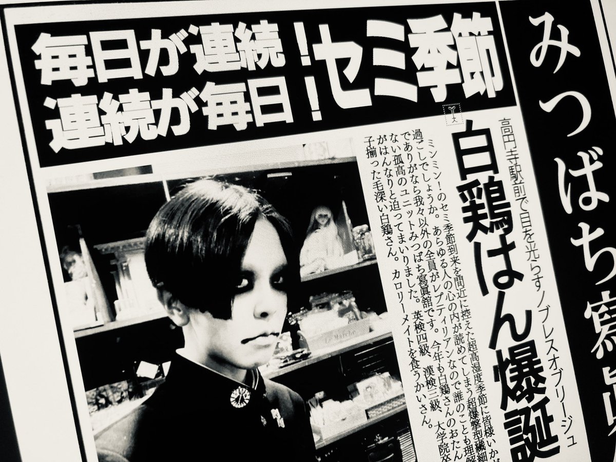 【大公式】みつばち寫眞舘 tweet media
