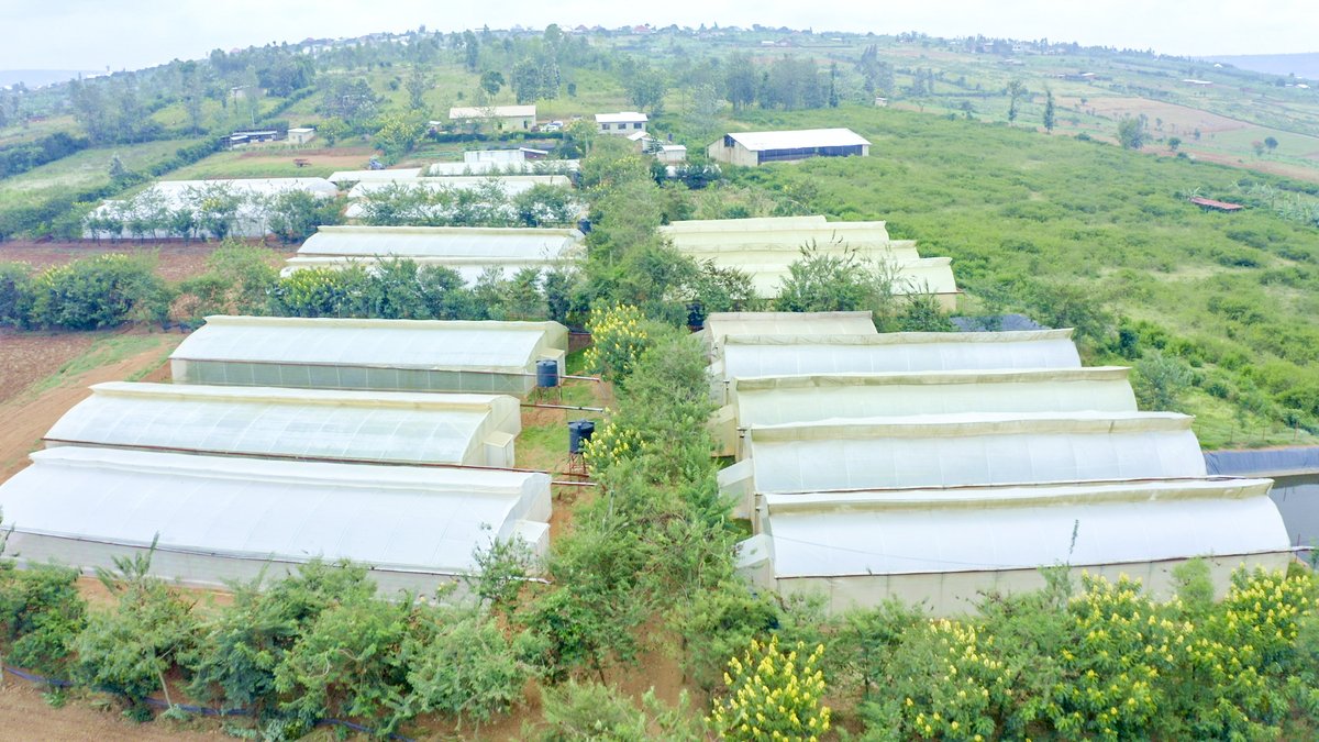 Ministry of Agriculture & Animal Resources Rwanda on Twitter "RT