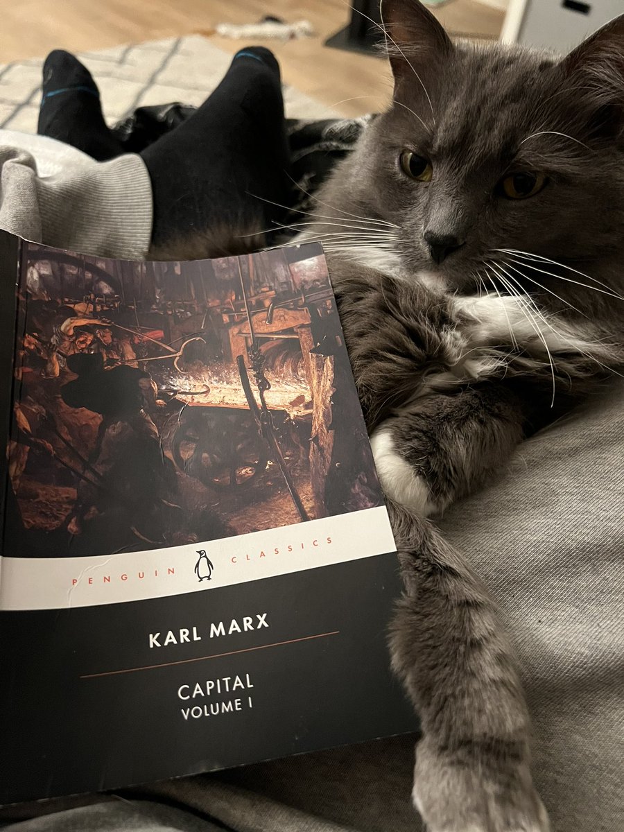 jstonekid's tweet photo. @dieworkwear housecats not reading theory is a big red flag https://t.co/RZhHg1c2TS
