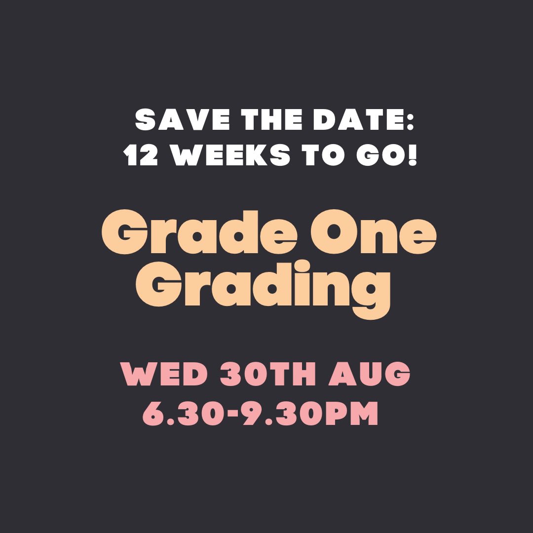 PlayFight tweet media