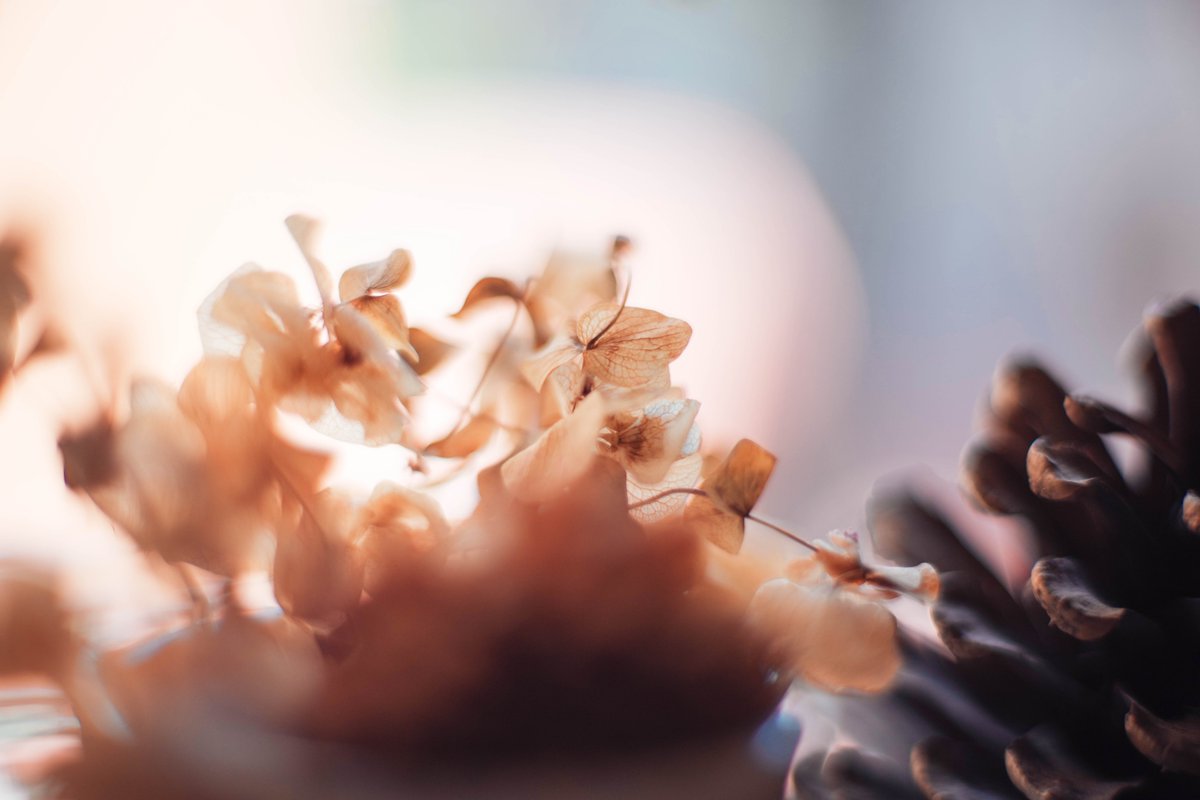 Daisuke Abe tweet media