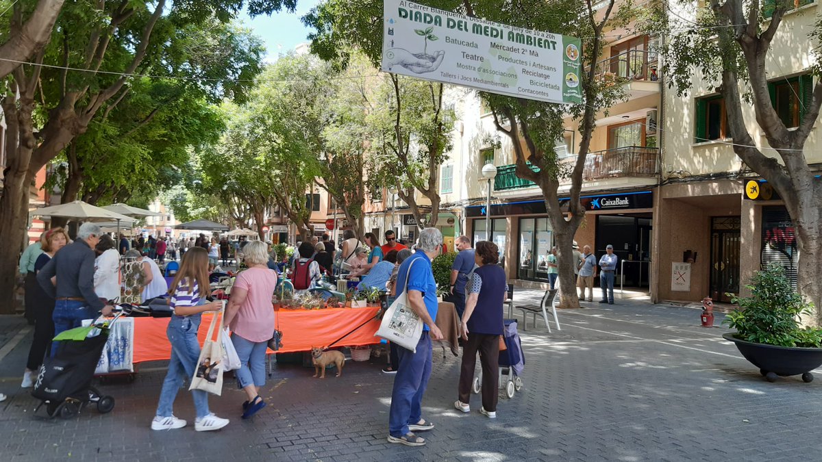 Ajuntament de Palma tweet media