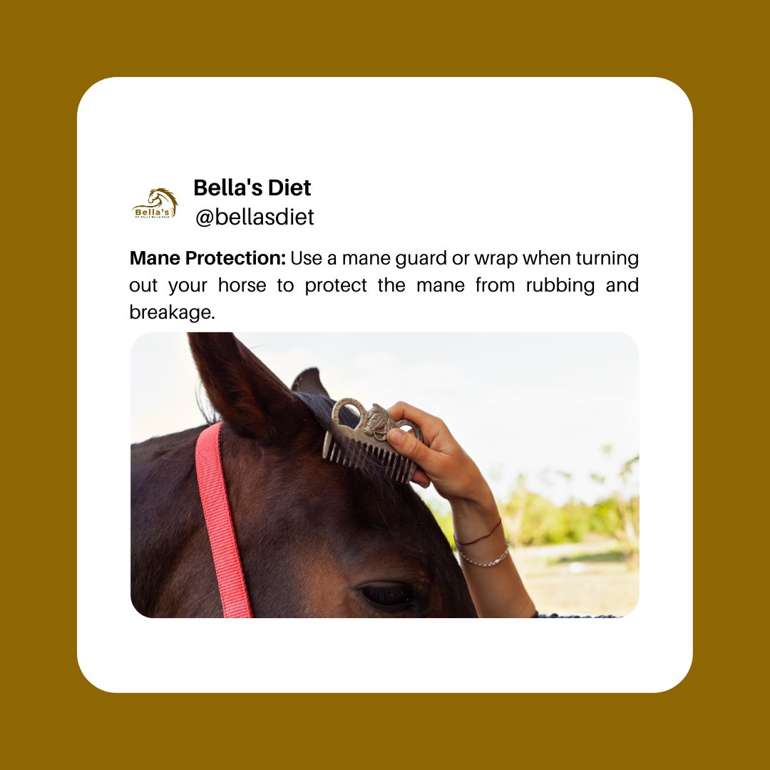 🌟 Mane protection is key! 🌟 Keep your horse's mane looking fabulous with these essential tips. #horsecaretips #maneprotection  ##healthyme #horsecare #maneguard #manewrap #manehealth #groomingtips #equestrianlife #beautifulmane
Follow for More!!!