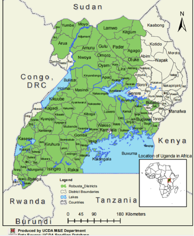 PearlFarmsUg's tweet image. Thread:
Robusta growing zones in Ug
Robusta is the major type of coffee grown in Ug, accounting for 80% of production. It grows in
most low altitude areas, covering Central, Eastern, Mid North, West Nile, Western &amp;amp; South Western Ug that are within 900-1,500m above sea level.