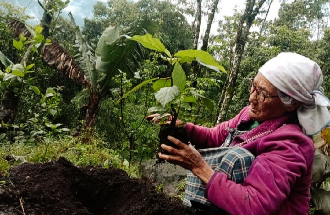 TheTopden's tweet photo. Start today to save tomorrow. There should be no tomorrow in taking steps to save the earth.

Happy World Environment Day.
#safeenvironment #planttreessavelife #SaveEarthSaveLife https://t.co/peLrKwmtVR